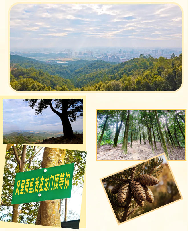 ScreenShot_2025-10-28_142519_481