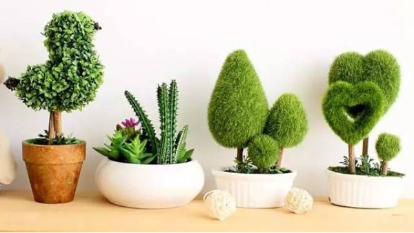 鸿凯家具 | 新买的家具有异味？妙招安排