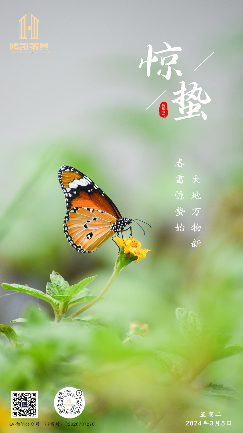 惊蛰psd