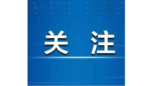鸿凯家具 | 分公司和子公司业绩能算作投标人业绩吗？